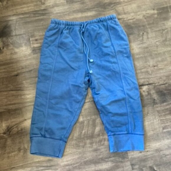NWOT Free People Best Of Cropped Joggers Blue Sz S